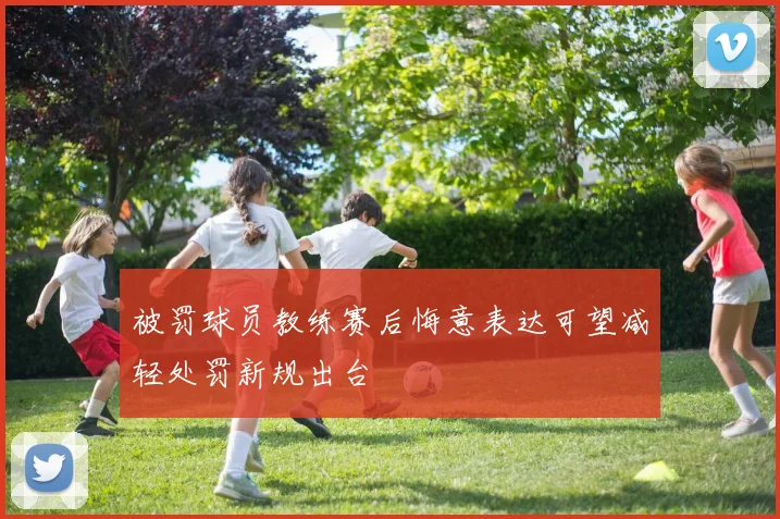 被罚球员教练赛后悔意表达可望减轻处罚新规出台