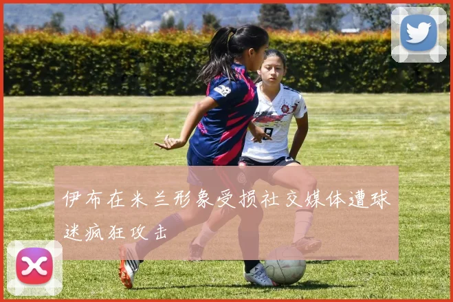 伊布在米兰形象受损社交媒体遭球迷疯狂攻击